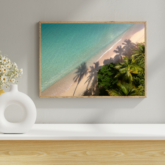 Palm Trees - Les Salines, Martinique