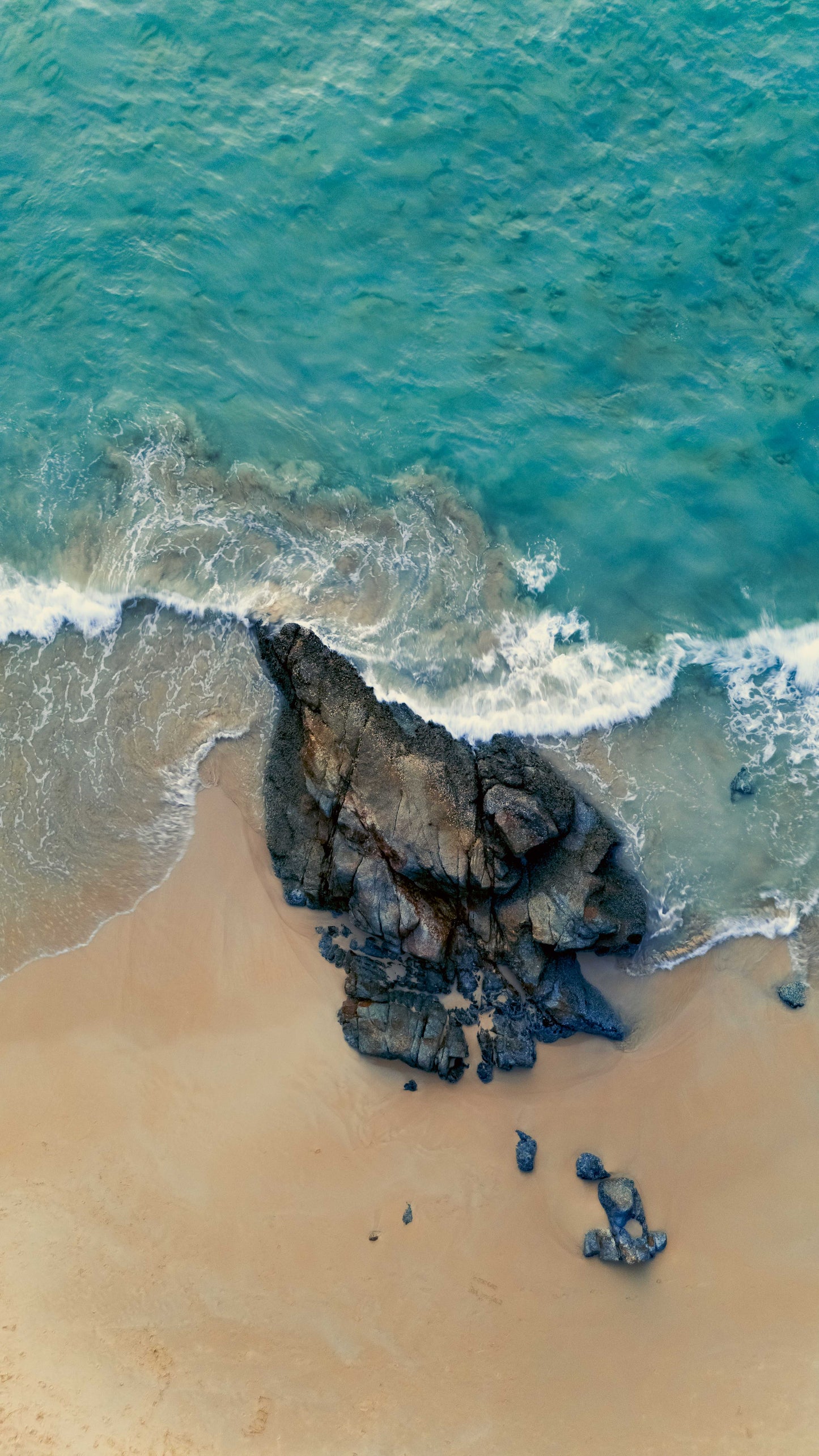 Whispers of the Shore