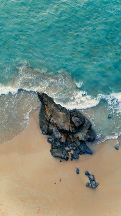 Whispers of the Shore